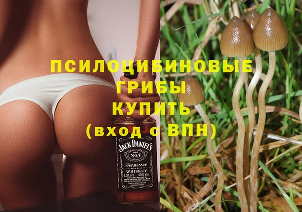 ПСИЛОЦИБИНОВЫЕ ГРИБЫ Абдулино