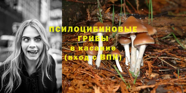 дмт Абинск