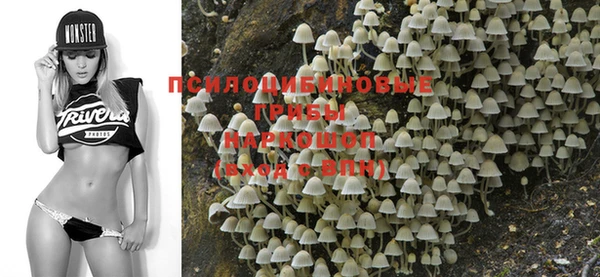 ПСИЛОЦИБИНОВЫЕ ГРИБЫ Абдулино
