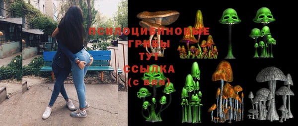 мет Алексин