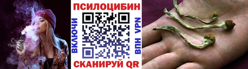 Галлюциногенные грибы Psilocybe  Нарьян-Мар 