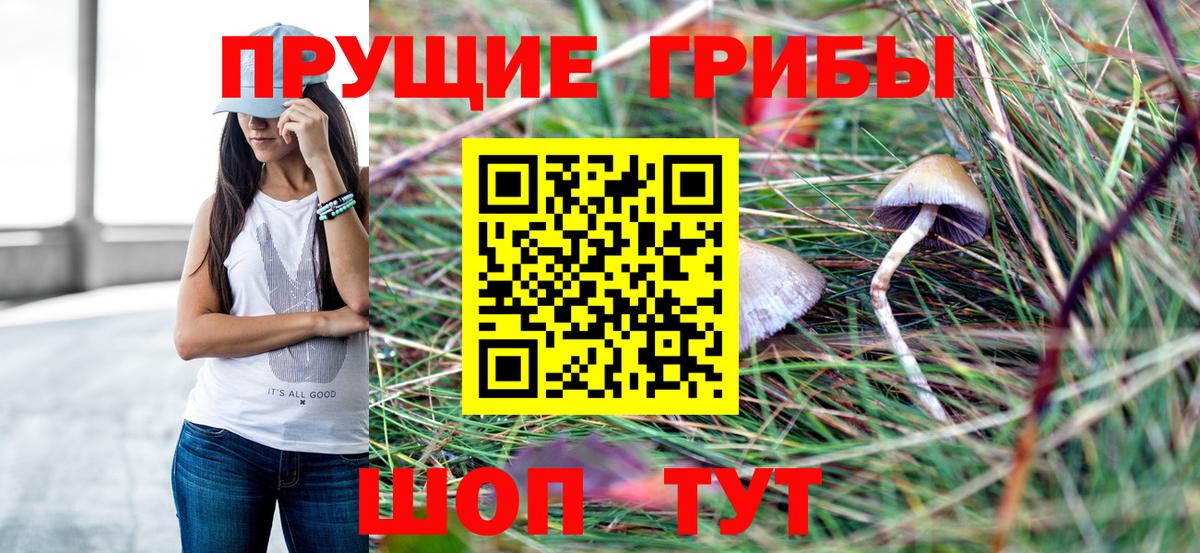 Галлюциногенные грибы Psilocybine cubensis  магазин продажи   Нарьян-Мар  Вход с VPN 