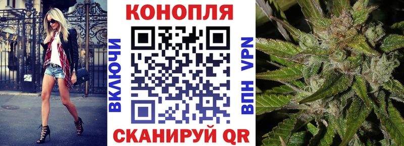 ссылка на мегу маркетплейс  где можно купить   Нарьян-Мар  Бошки Шишки индика 